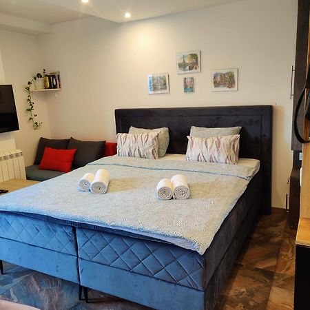 Kala Apartment Novi Sad Exteriör bild